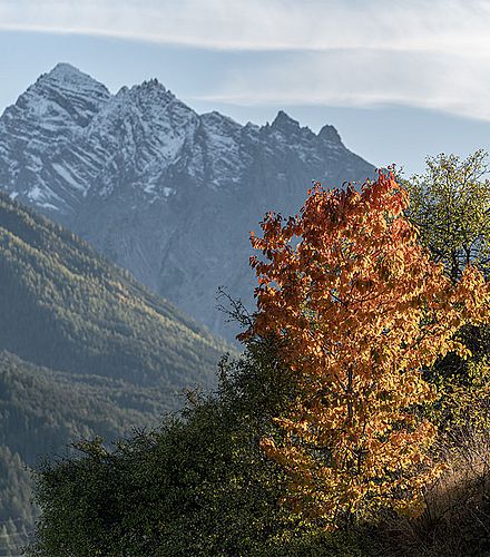 Swiss National Park